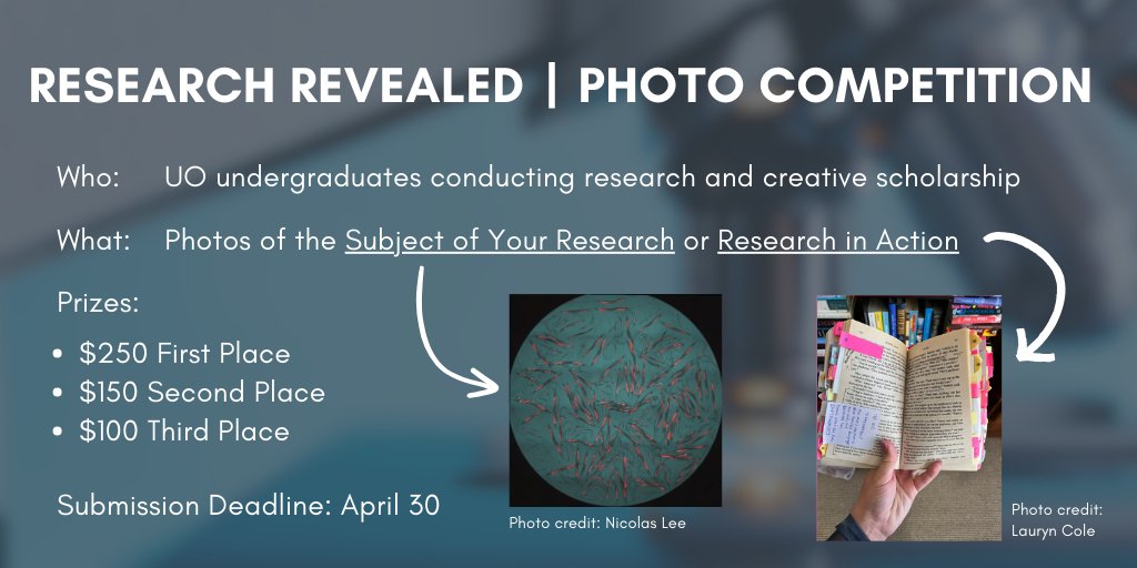 UO Undergraduate Research tweet media