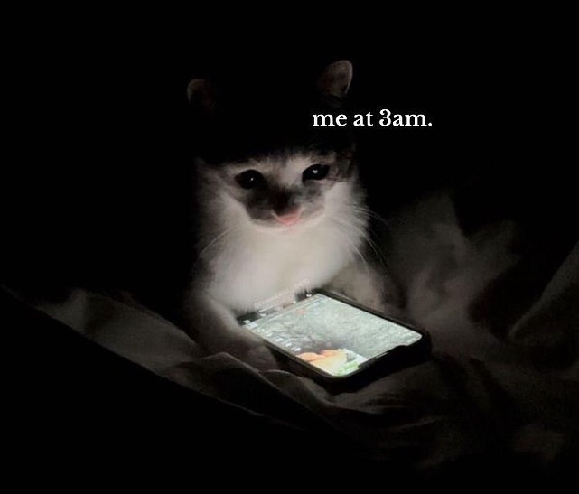 PunchingCat's tweet photo. true https://t.co/EPWjGkZ3cb