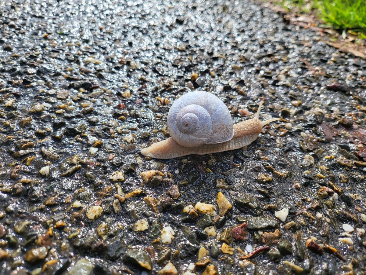 15.44u @ Landgoed Hydepark Doorn