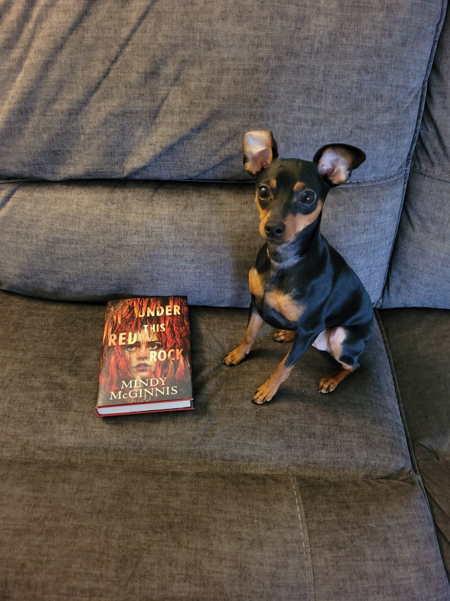 Sally enjoyed this book so much. 4 paws up. @MindyMcGinnis