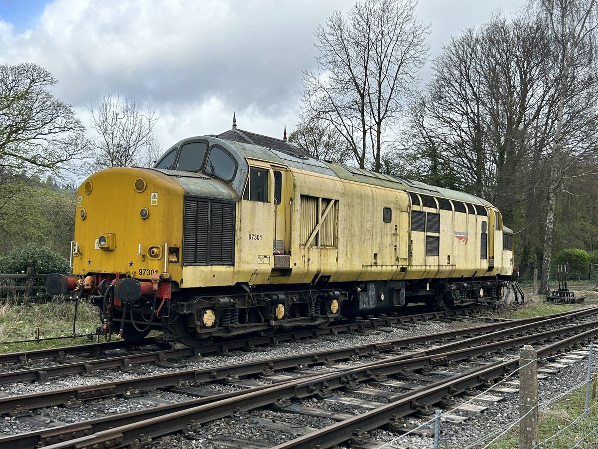 PlateFace tweet media