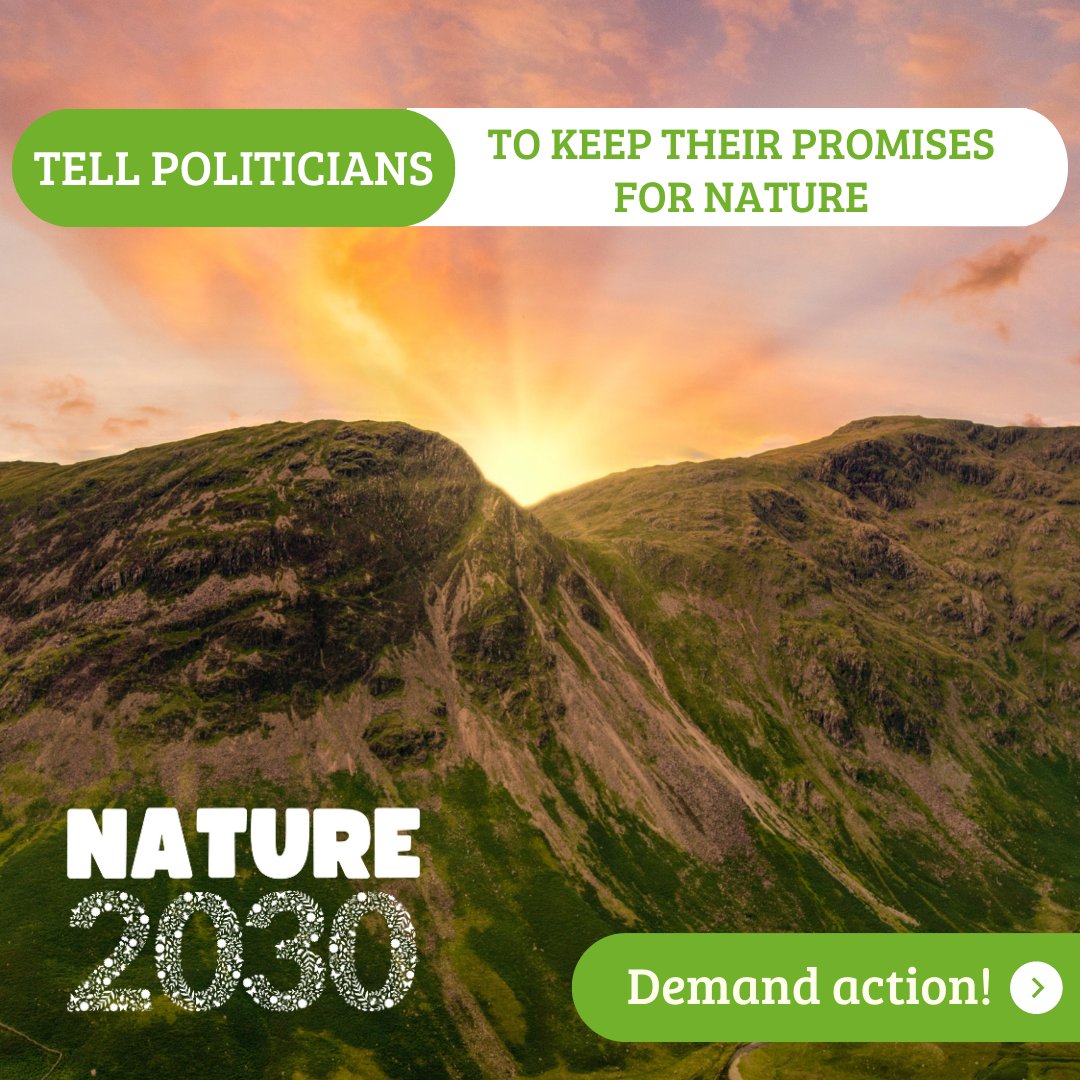 We MUST act quickly to halt the decline of nature in the UK. We're supporting #Nature2030: 5 policies we want all parties to put in their manifesto ahead of the general election 🗳️ Add your name to the open letter - last chance today 👉 bit.ly/nature_2030