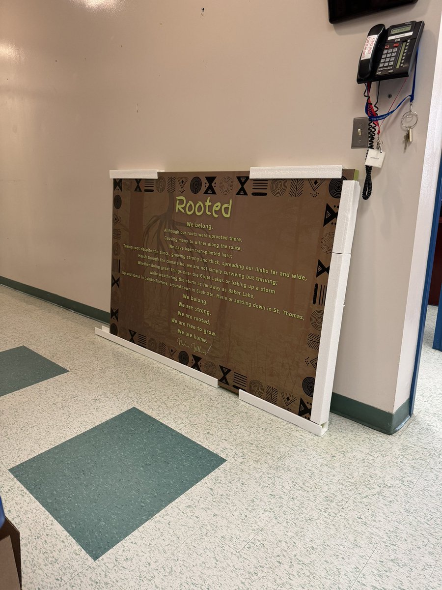 Grateful for another delivery of Rooted. Merci to a school within the @DPCDSBSchools for making space for my work. #Poetry #art #belonging #PoetryMonth #artsale #poet Who’s next?