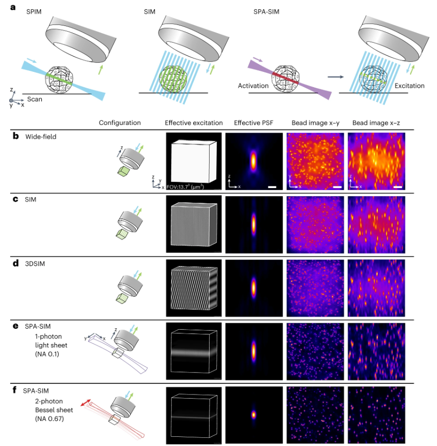 Out today from the Fujita lab! The combination of light sheet illumination and reversibly switchable fluorophores enables improved structured illumination microscopy for fast, low-background super-resolution imaging in cells and spheroids. nature.com/articles/s4159…