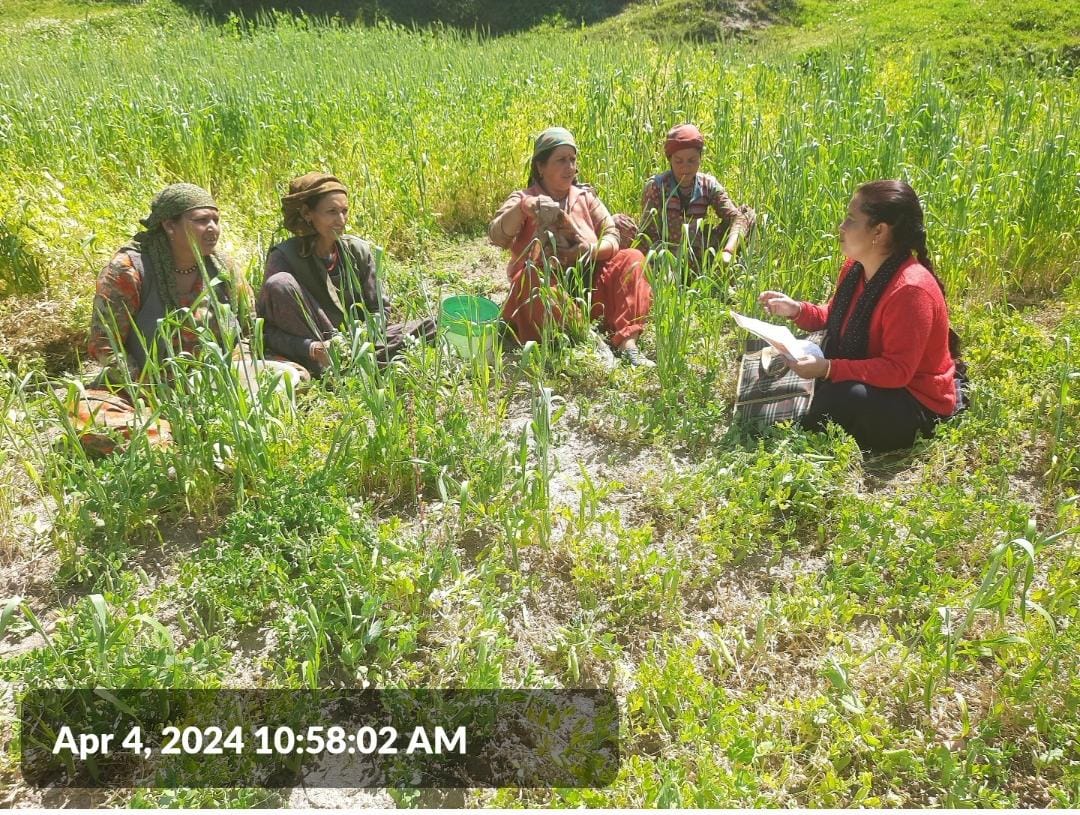 Spring now in the upper Yamuna valley. The Gramin Vikas Samuh are finding outside in the Great Green of April a great place to meet and solve the world's problems. @mariwalahealth