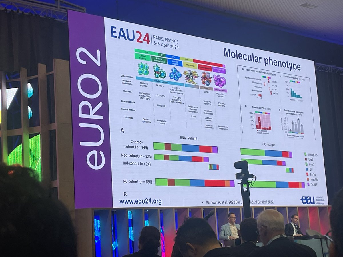 militasko's tweet photo. Wonderful day 1 at #EAU24 https://t.co/b4fxyj8jTm