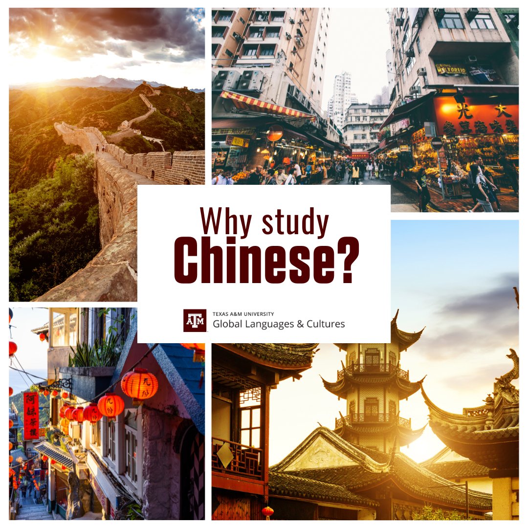 With the second largest economy in the world, China has become a significant player in the global market. Why are you studying Chinese? #LearnChinese #ChineseLanguage #StudyChinese #tamuChinese #StudyLanguage #StudyCulutre #tamuGLAC