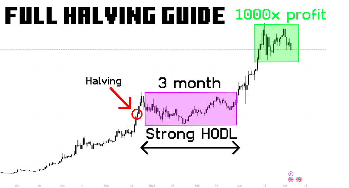 0xFinish's tweet photo. BTC halving in 15 days, alt season is about to pop off 📈

Back in 2020, I profited over ~150x after halving.

I analyzed all of the halvings and over 1000 altcoins.

Here is your ULTIMATE halving guide with the easiest 100x gems 🧵👇 https://t.co/cCXtOo1uPr