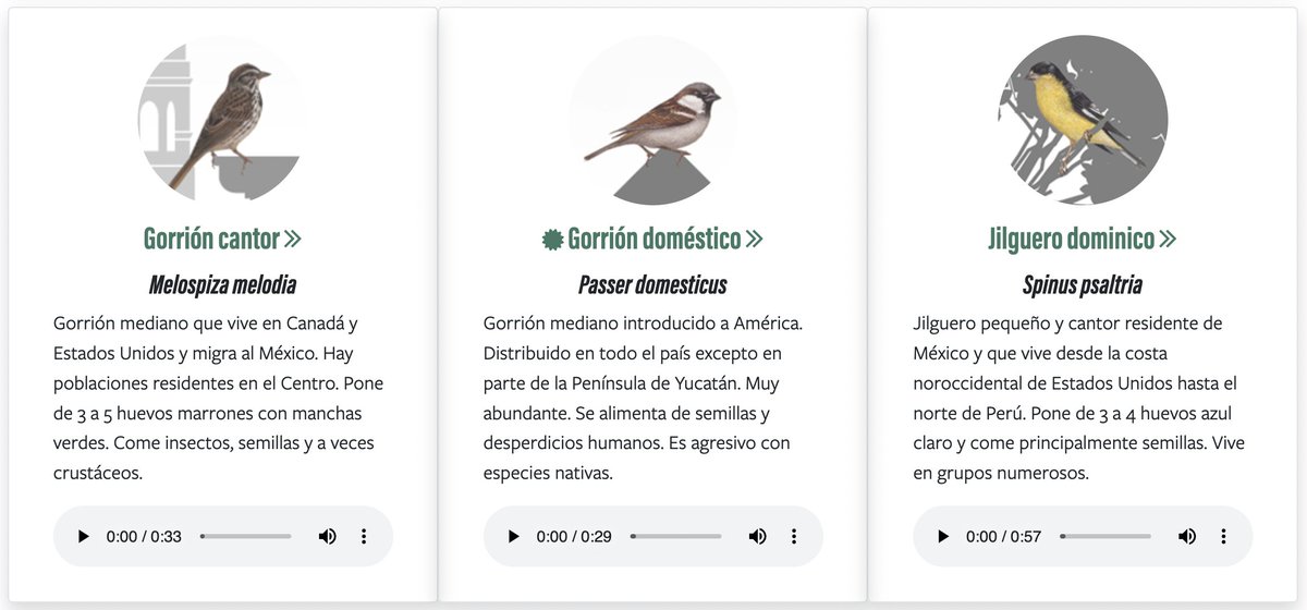 🦜🏢🐦 Aves en las ciudades 🐦🏢🦜 En la Ciudad de México y sus alrededores se han registrado alrededor de ¡386 especies de aves silvestres! Hemos seleccionado 20 especies para que las reconozcas por sus cantos. biodiversidad.gob.mx/cienciaciudada…