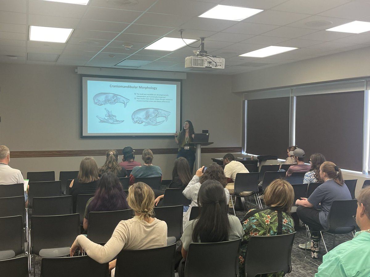 EIStamu's tweet photo. Awesome second session of student oral presentation.

#EIS2024 https://t.co/C73IUVe2n5
