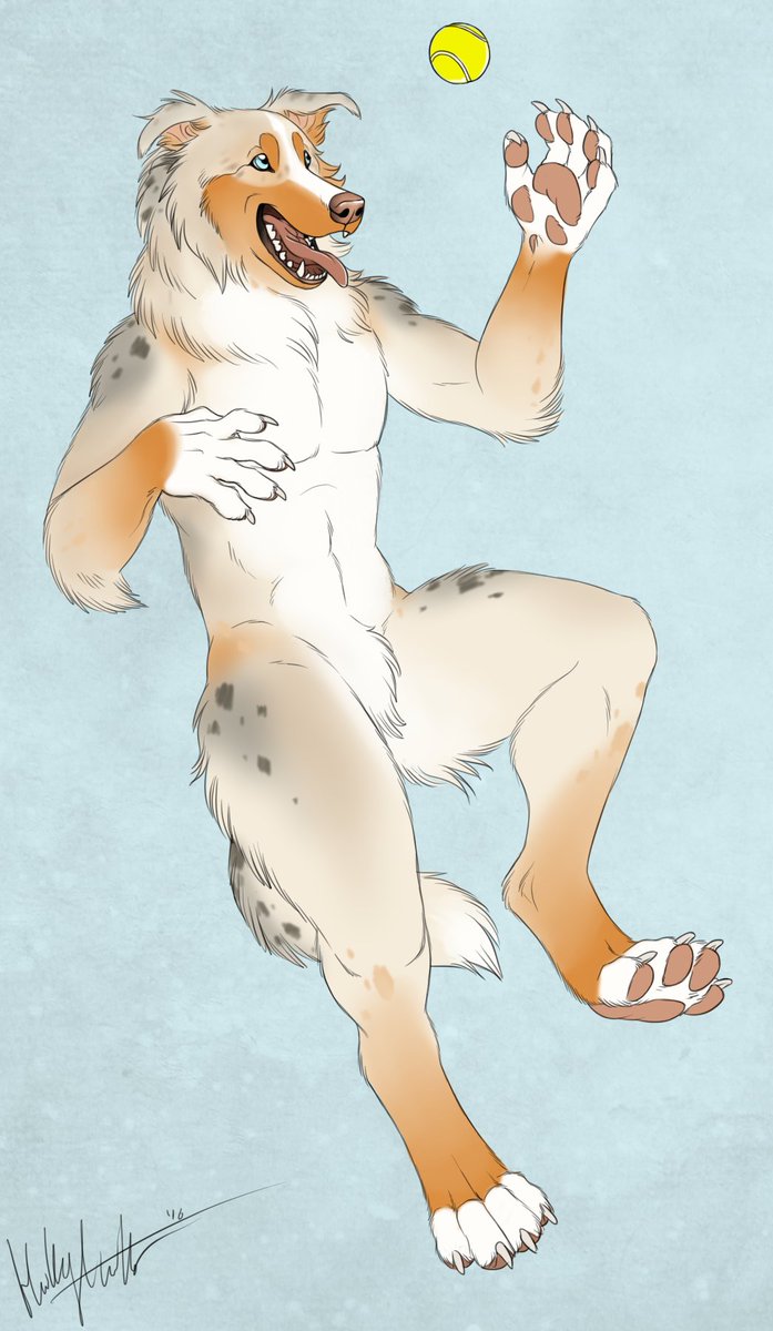 TrueBlueMerle's tweet photo. Post an OC of yours along with some bands/artists they would listen to! 

Here's the Merle dog 🤙 https://t.co/yV8SJjDnfG