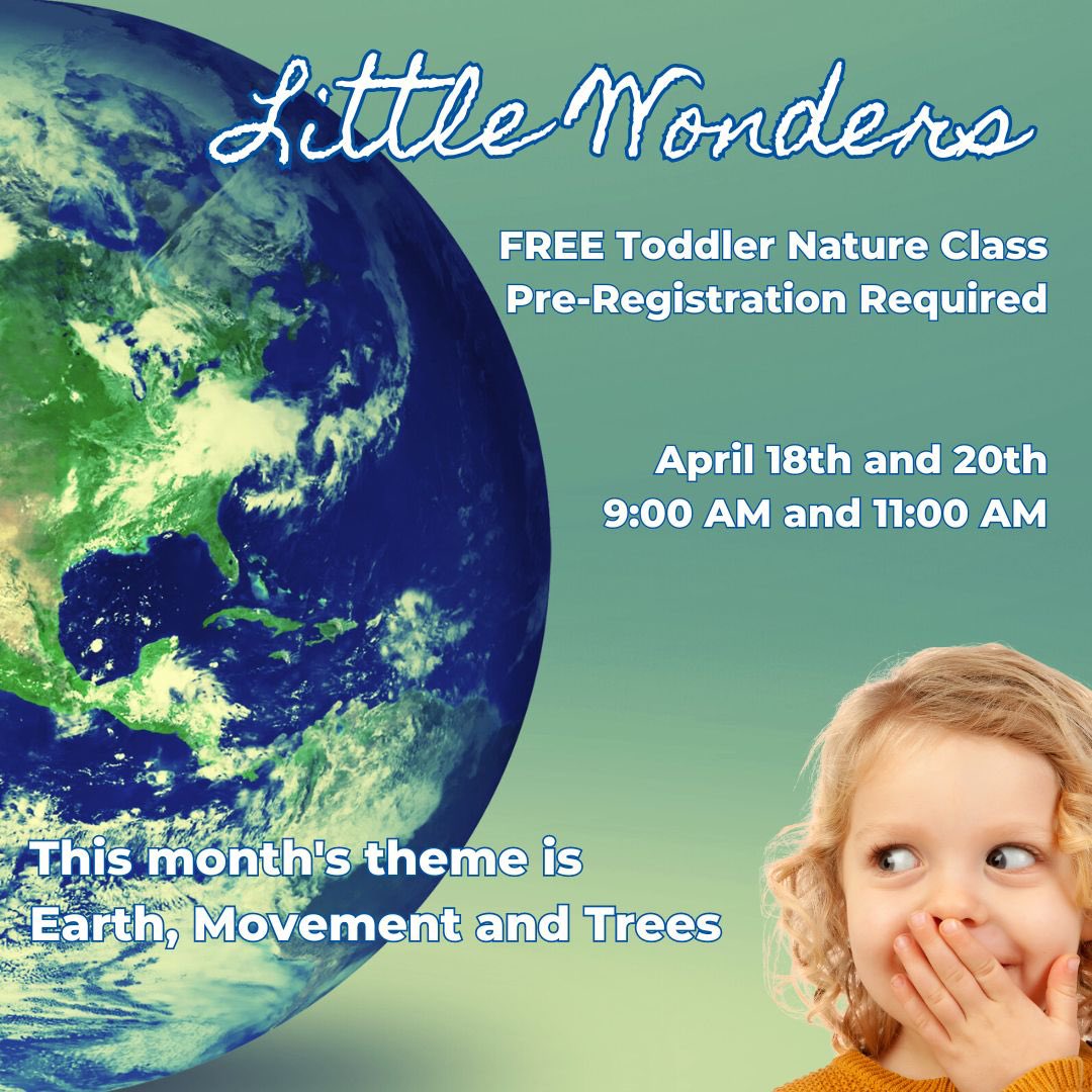 DiscoverELC's tweet image. Book your class for Earth Month. 🌎 #toddler #mommynme #freeclass