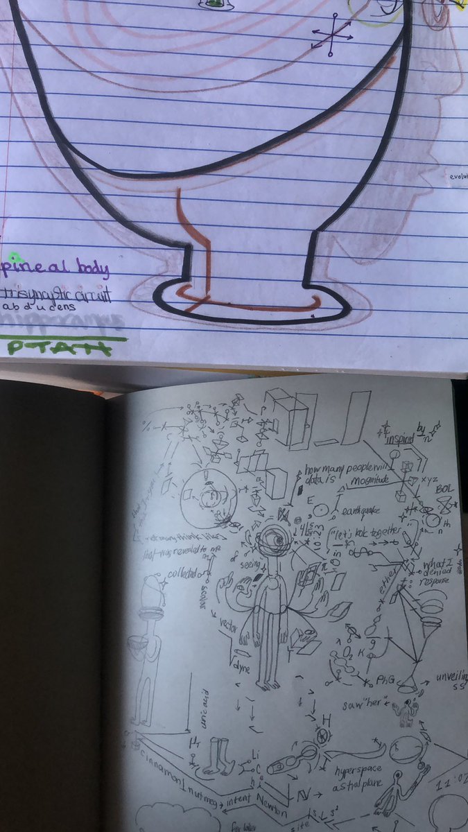 akashicmelanin's tweet image. ⏲️ #maxwells ⚖️ #444 ⏱️ interesting where #parallelworlds converge ♎️ #equipollence 🧭 what traverses over 💀 #coronalplane 🌞