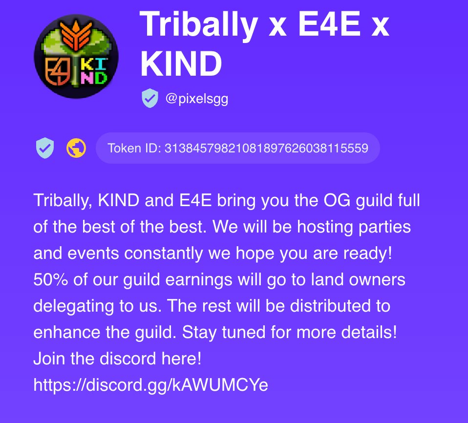 TEK Guild tweet media