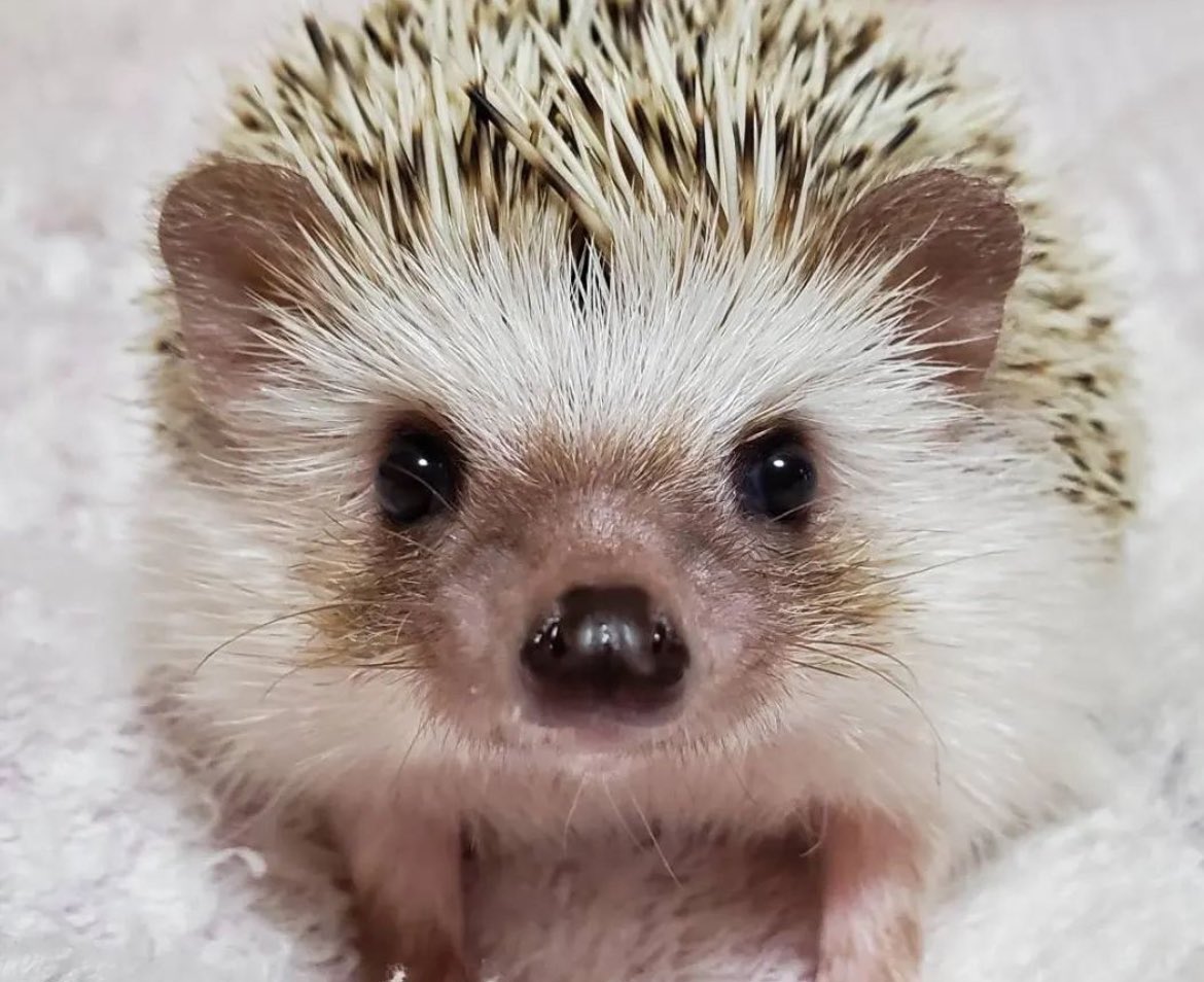 Friday 5th April, 2024