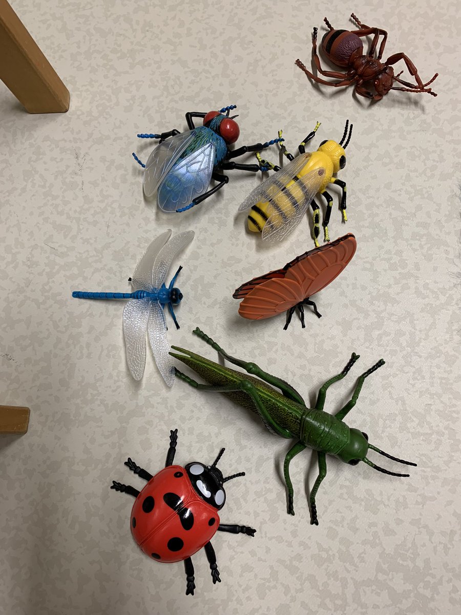 Un nouvel hôtel à insectes au Bois des Pesses, installé aujourd’hui par le Rotary avec une sympathique mise en scène. 
Et des insectes dans la classe de PS.