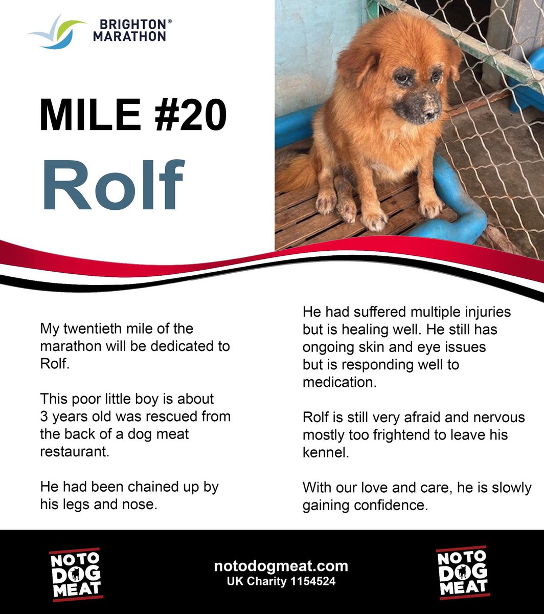 Please sponsor Michelle. She is running the @BrightonMarathn for little Rolf. …24brightonmarathonweekend.enthuse.com/pf/michelle