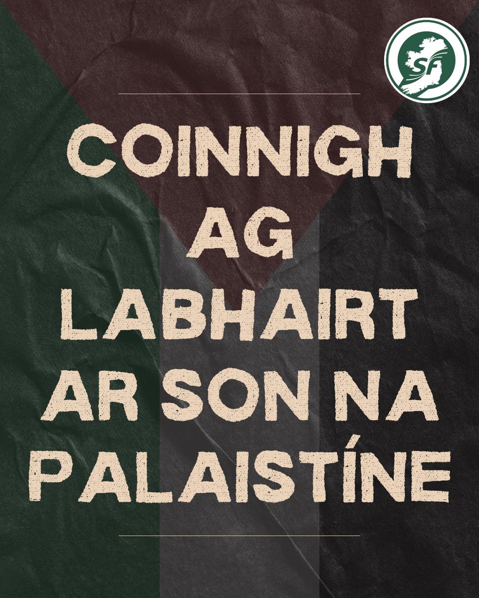 Coinnigh ag labhairt ar son na Palaistíne 🇵🇸 #gaza #palestine #ceasefire #ceasefirenow