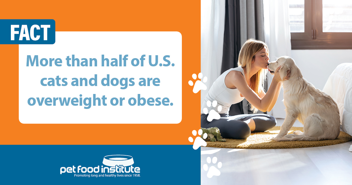 This #WorldHealthDay, brush up your knowledge with these tips for keeping your #pet at a healthy weight. 🦮 petfoodinstitute.org/pet-well-being… #PetHealth
