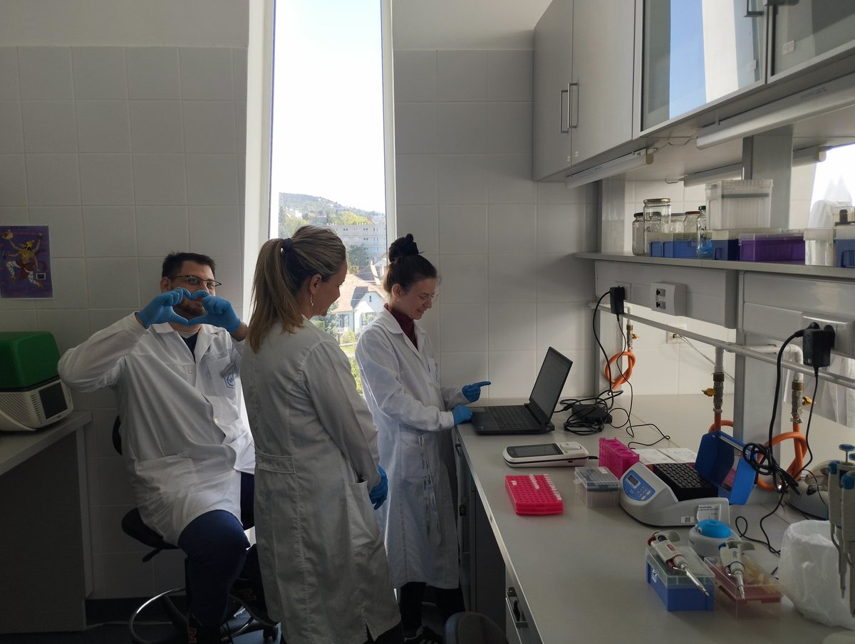 Pavle Banovic tweet media