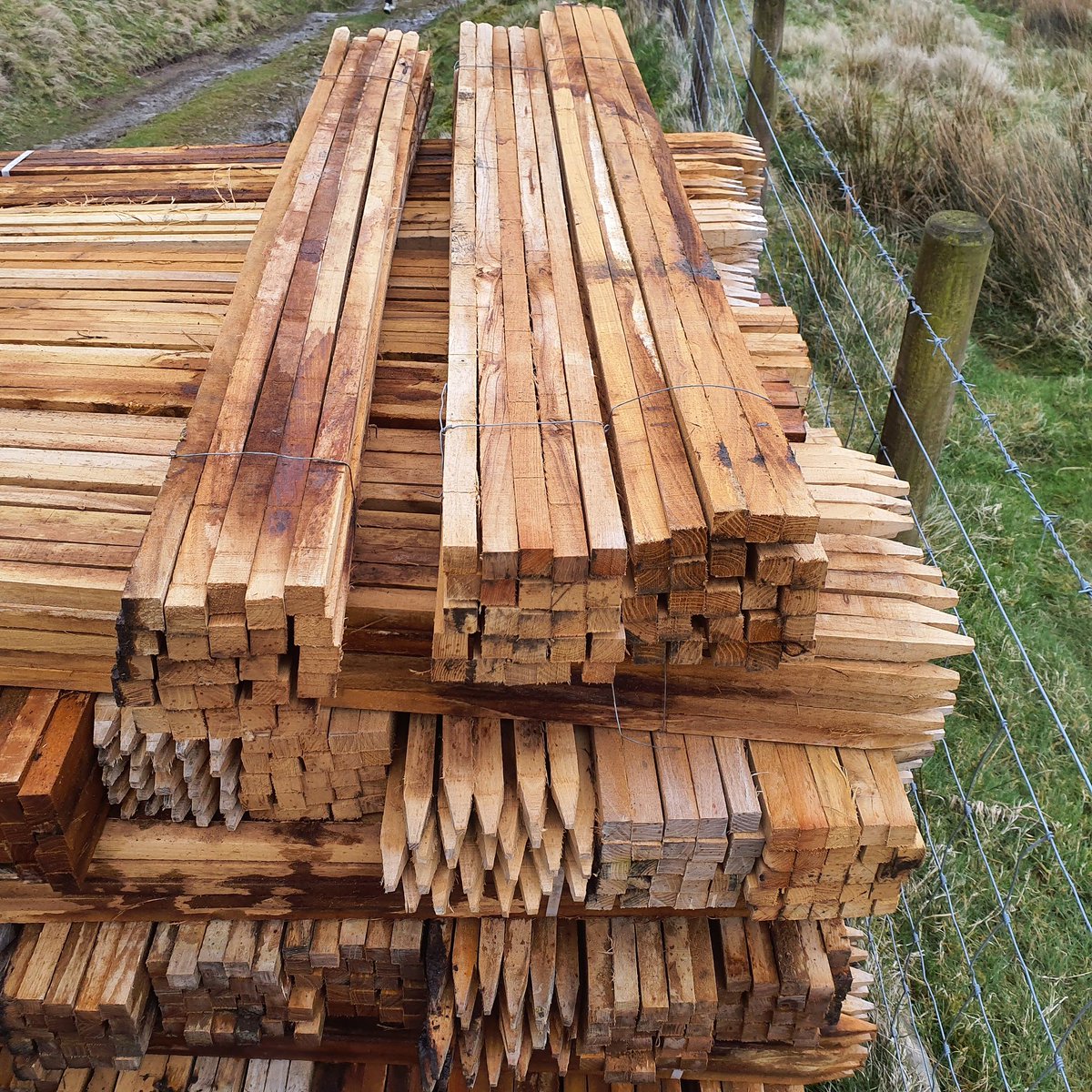 Very happy to see that some of the hardwood stakes we had delivered have wire which can easily be recycled instead of usual plastic straps holding the bundles of 25 stakes together. It makes us sad when we end up with a load of plastic straps after planting that we can't recycle!