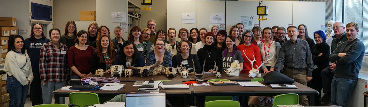 ZooarchLabSheff's tweet image. 4th &amp;amp;final day of Understanding Zooarchaeology II. Wonderful experience! Thanks everybody for coming &amp;amp; for helping us in our fight against the cultural vandalism that has led to the closure of our department. @UniShefArch  @ChippingEwan  @UAlbarella  @SnakesAndBones  @tracyplatts