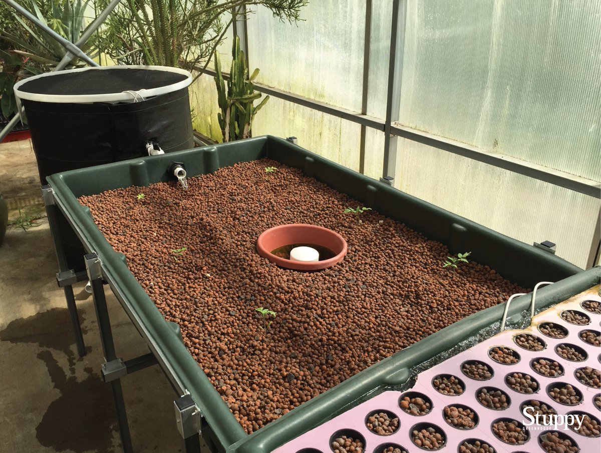 StuppyInc's tweet image. Looking to elevate your horticulture curriculum this upcoming year? Our Aquaponic growing system is a great way to teach students about the mutualistic relationship between plants, fish and bacteria that make a system successful.

#StrongerwithStuppy #growingsystems