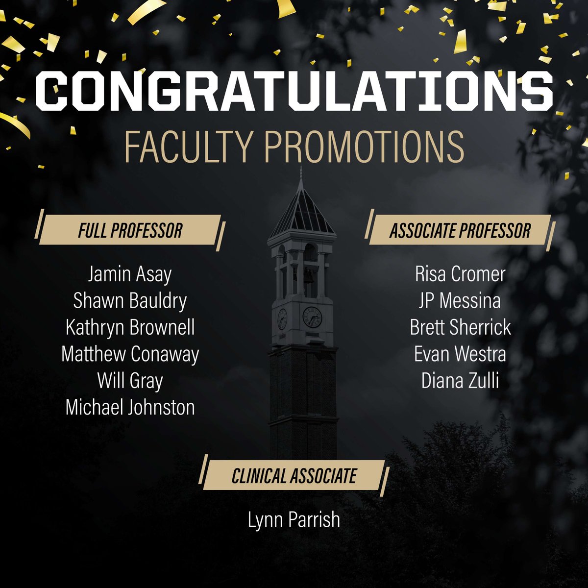 Join us in congratulating these exceptional faculty whose cutting-edge research, passion for education, & academic service have strengthened #liberalarts at Purdue benefitting our students & programs year after year.

Read more about these professors at: ow.ly/G6kZ50R7SqS