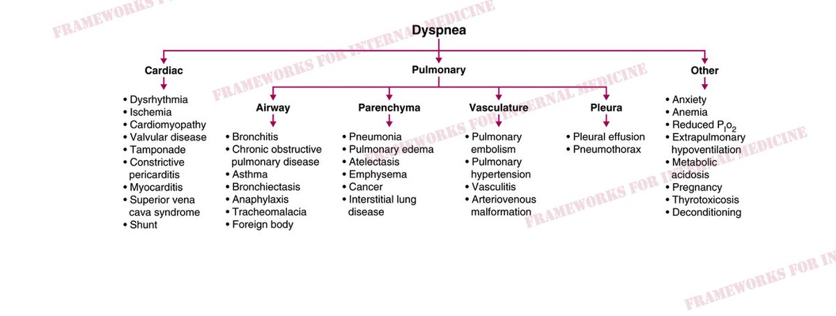 2/9
Before we do, let’s talk about dyspnea. The two main systems responsible for dyspnea are the heart and the lungs.