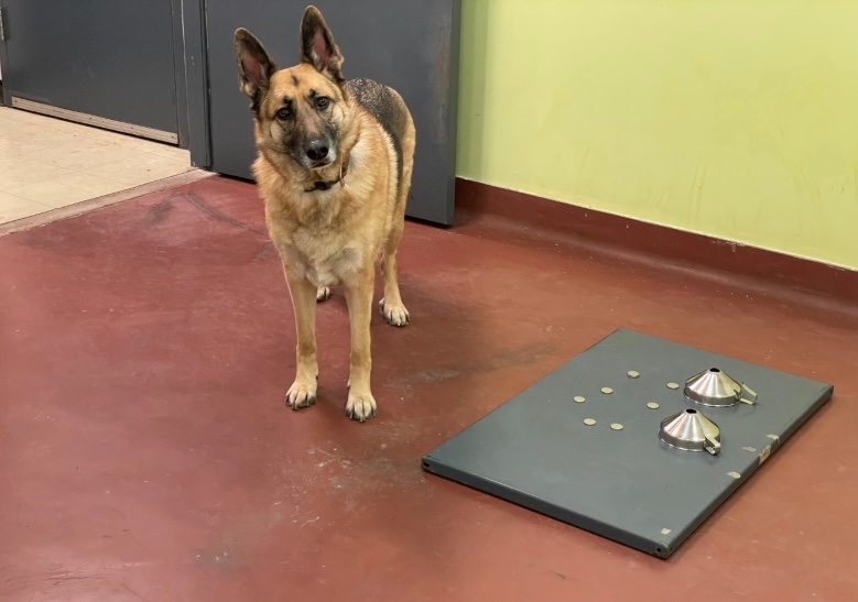 MAAC Lab tweet media