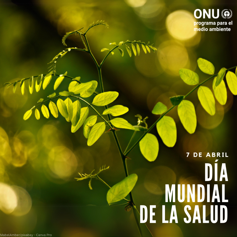unep_espanol's tweet photo. Un planeta sano nos beneficia a todos.

Sin embargo, la triple crisis planetaria del cambio climático, la pérdida de biodiversidad, y la contaminación, supone amenazas inminentes.

El #DíaMundialDeLaSalud sirve de recordatorio para actuar #PorLaNaturaleza y un futuro sostenible.