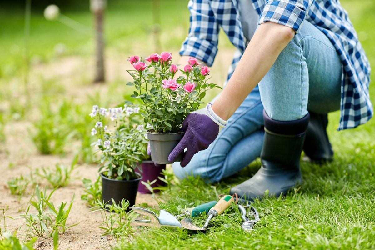 USDA declares April “Invasive Plant Pest and Disease Awareness Month.” Learn how you can make a difference in your own backyard this spring: aphis.usda.gov/news/agency-an… #IPPDAM