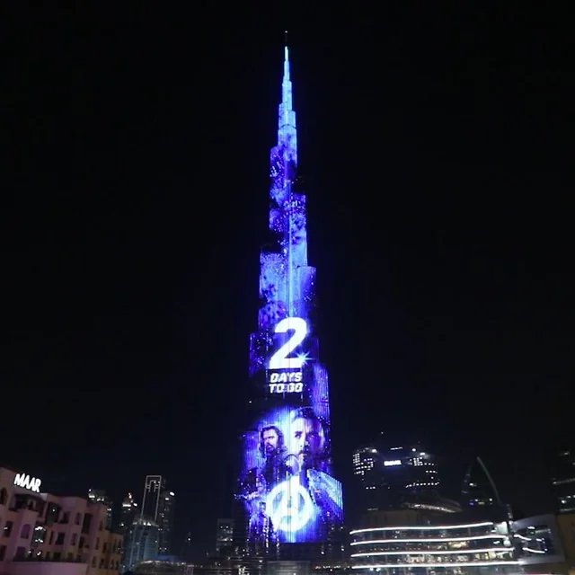 FIFO THE CAT tweet media