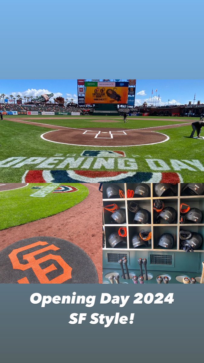 Linda KF 🐬🐇 tweet media