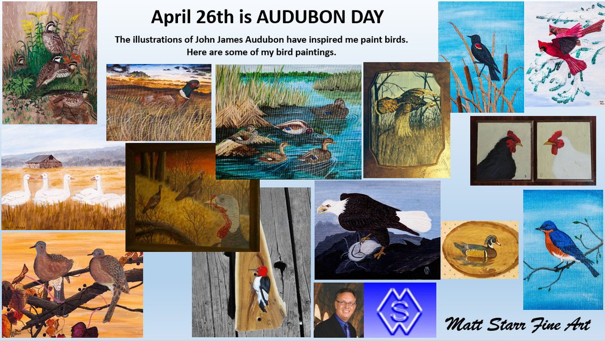April 26th is Audubon Day.  John James Audubon was known for his bird art and he inspired me to paint birds. Birds are one of my favorite subjects to paint. teepublic.com/user/matt-star…
#mattstarrfineart #artistic #paintings #art #audubon #audubonday #bird #birds #flock #feathers