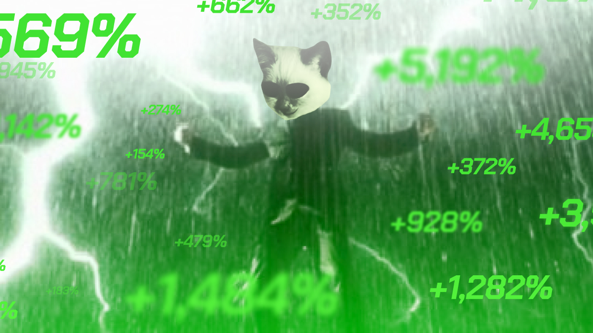 Mewtrix_coin's tweet photo. Let's get @madapescall onboard. Take the pump pill. $MEWTRX https://t.co/zI3qEluCKa