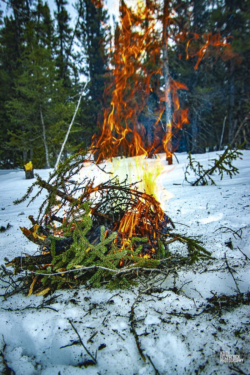 April 5th - Campfires feed my soul. Help me find my inner peace. #nlwx #campfire #fire #bonfire #boilup #canon #canonphotography #canon90d #labrador #thebigland #livingontheland #livinginthewoods #higherpower #peace #meditation