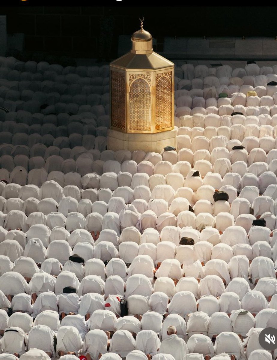 Mustafa Gülpınar:”Dualarımıza kendimiz dışında çok kişi ekleyelim. Genç, yaşlı, bebek hastalar, borçlular, ALLAH'ı arayanlar, ALLAH'dan af dileyenler, hakkı yenenler, zulme dik duranlar, huzuru arayanlar hepsi ve niceleri dularımızda yer alsın. Kadir Gecemiz mübarek olsun.”