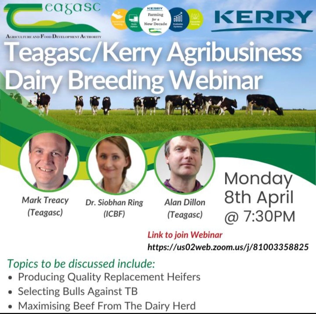 Teagasc/Kerry Agribusiness Webinar on Breeding season 2024 on Monday next 8th of April at 7.30pm covering producing quality replacement heifers, breeding against TB and producing quality beef from the dairy herd, join on the night via link: us02web.zoom.us/j/81003358825