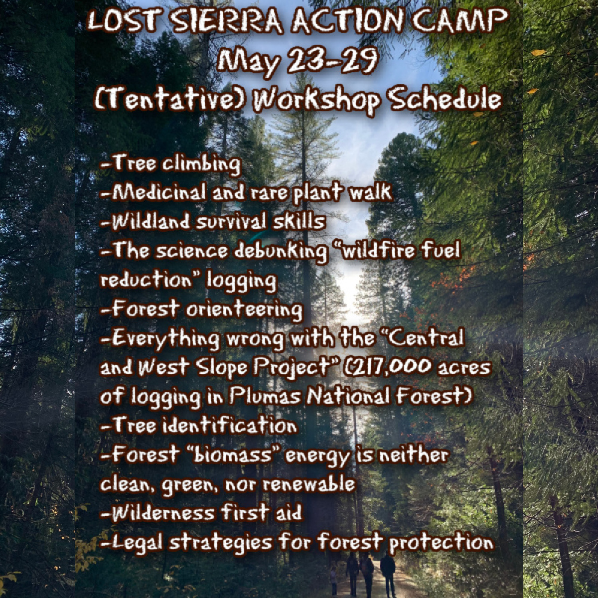 Workshop schedule will be updated here as more details emerge.

lostsierraforest.wordpress.com

Email lostsierra_forest [at] proton [dot] me for info, to RSVP, and/or if you’d like to lead a workshop!

#forest #climate #california #stopthechop #forestdefense #forestdefenders