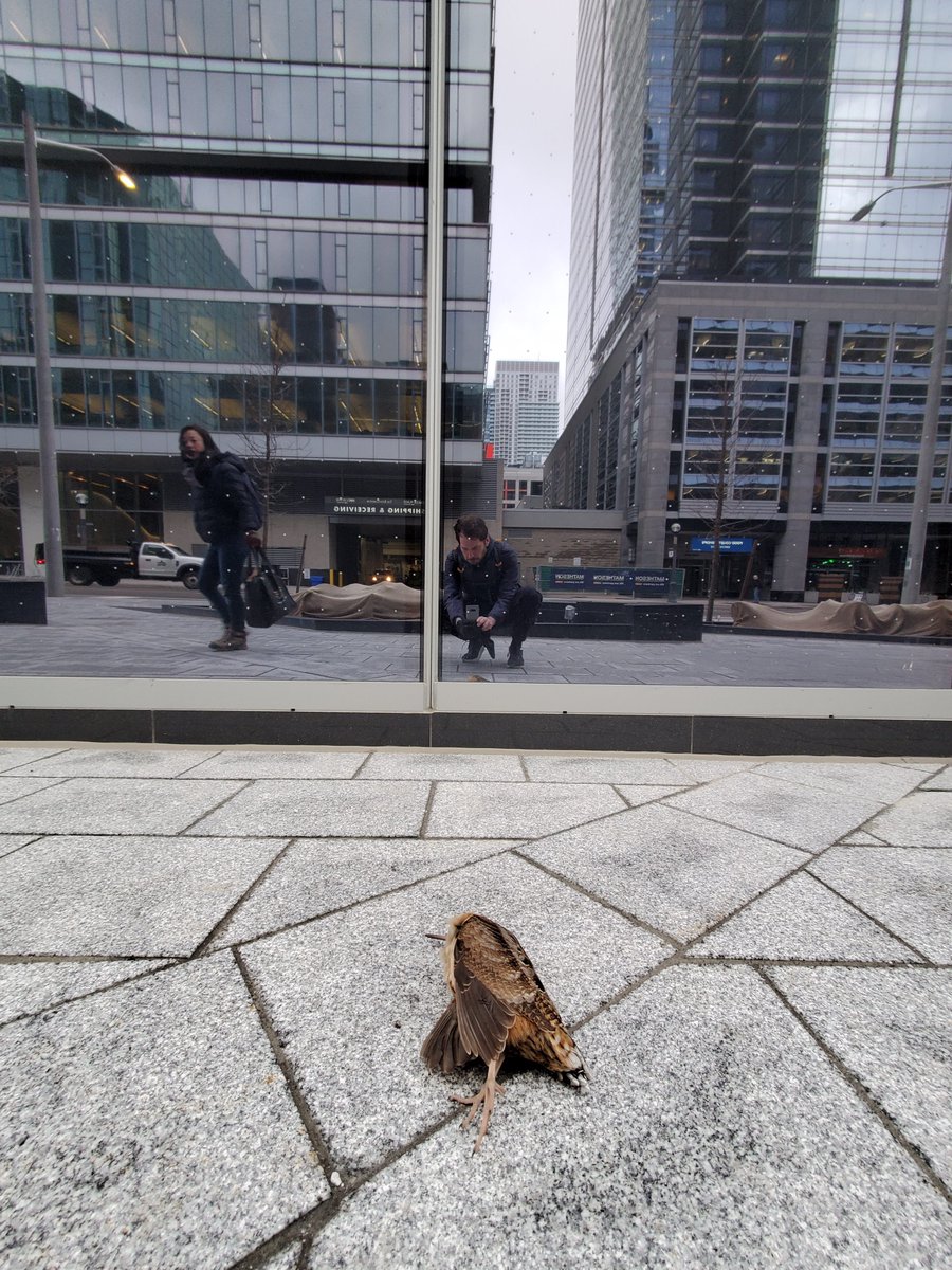 polkadot_city's tweet photo. This is the consequence of choosing to use mirrors for walls.  @TD_Canada 160 Front Street West, Toronto https://t.co/wdpyj89uuq