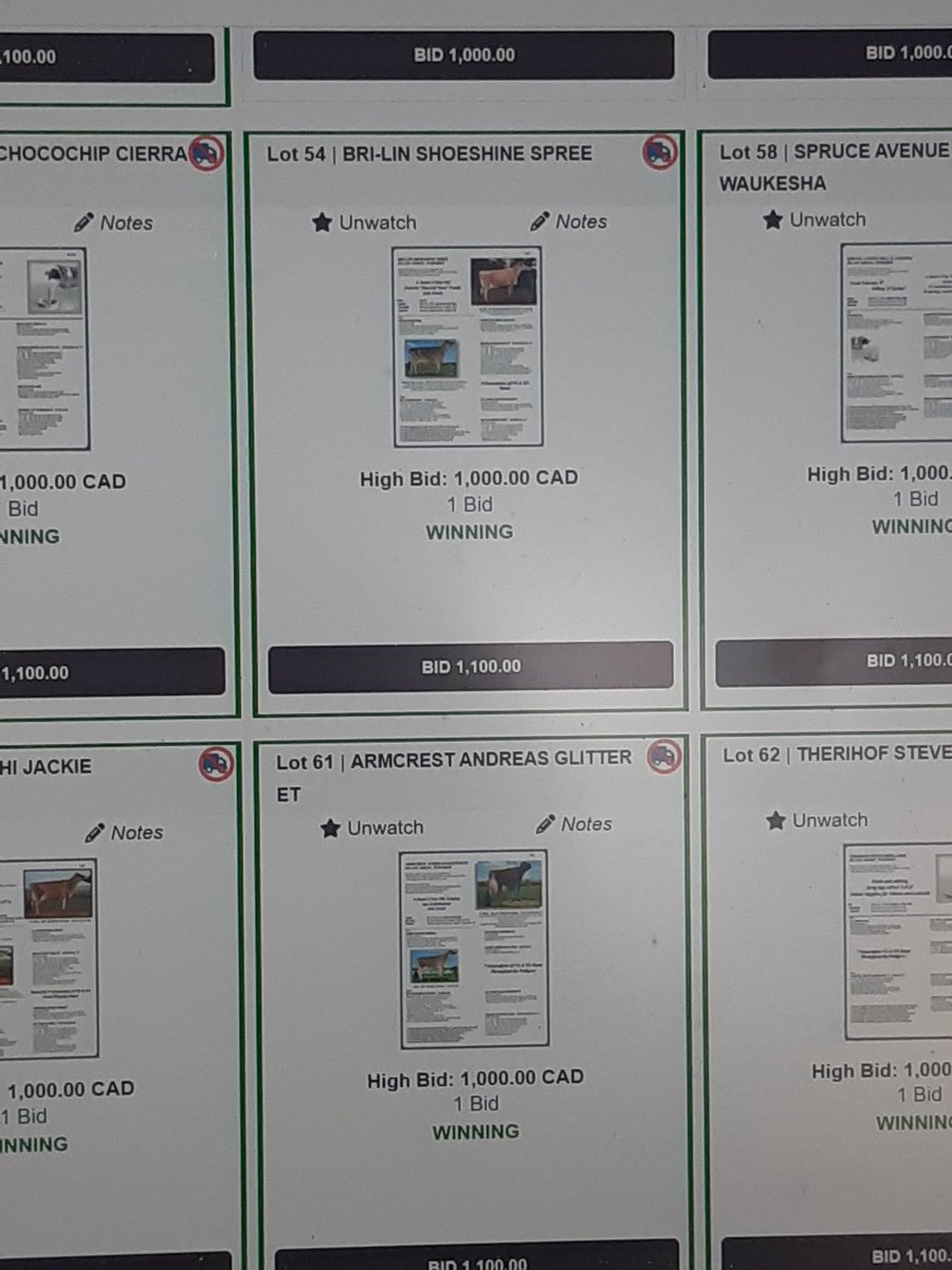 FarmerNerd's tweet image. #WINNING    the 59th OIS Jersey sale held by @JerseyOntario  is currently  LIVE!.  Great sale to pick up a 4H project or fill that April incentive day