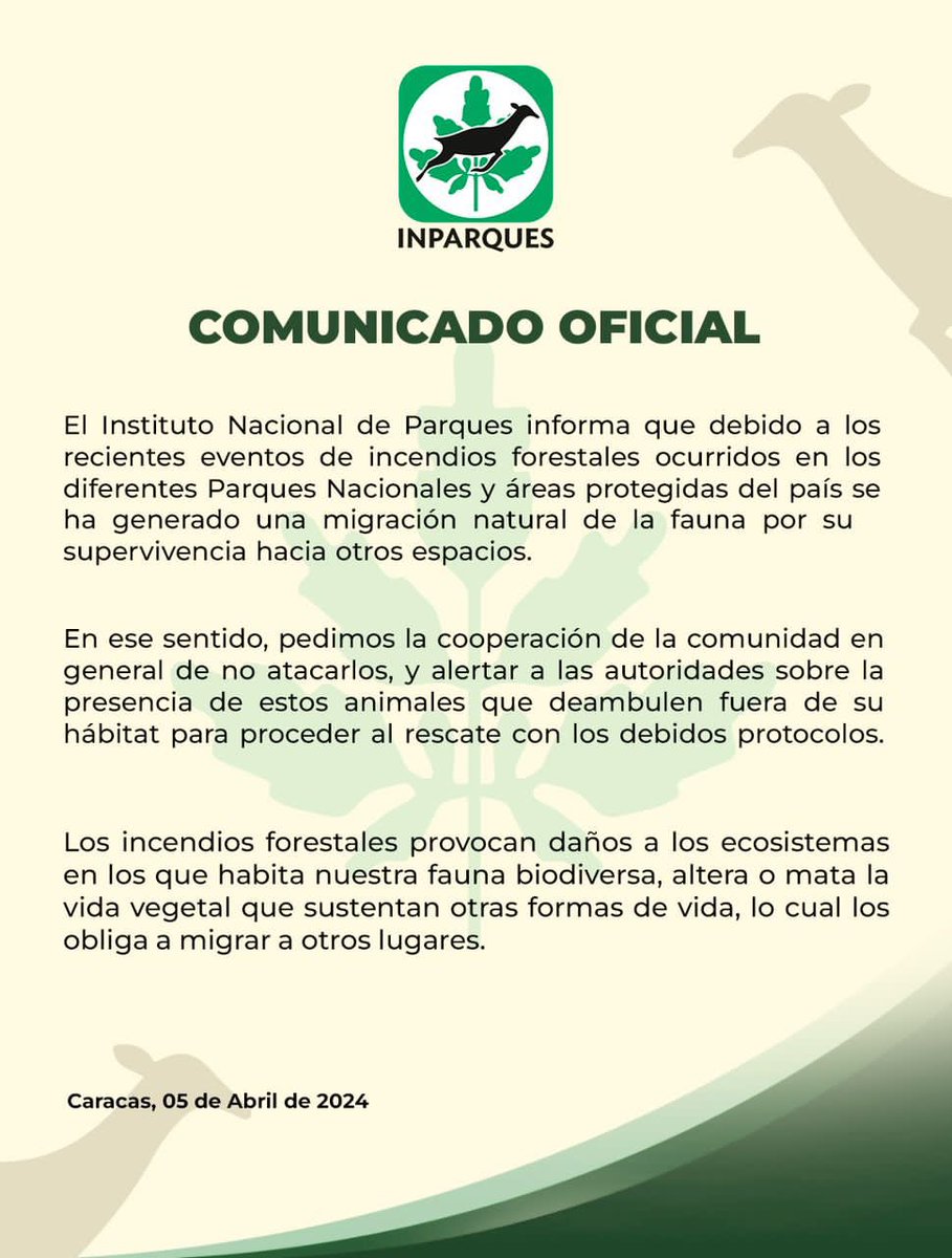 Roman Camacho tweet media