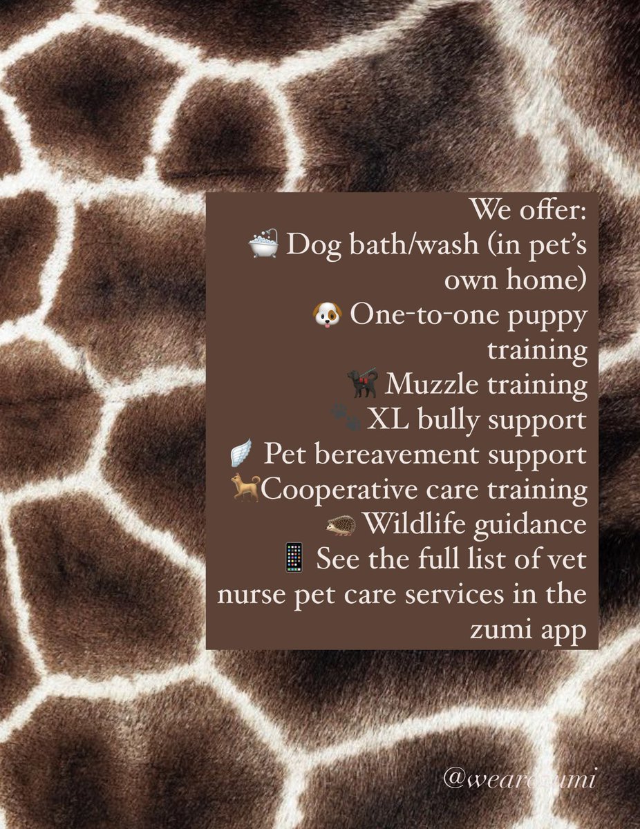 SAVE THIS FOR LATER 💾 

Here if you need us 🐾

#zumi #vetnurse #petcare #app #homevisit #dogs #cats #pets #animals #rvn #apple #android #appstore #googleplay #freedownload #availablenow