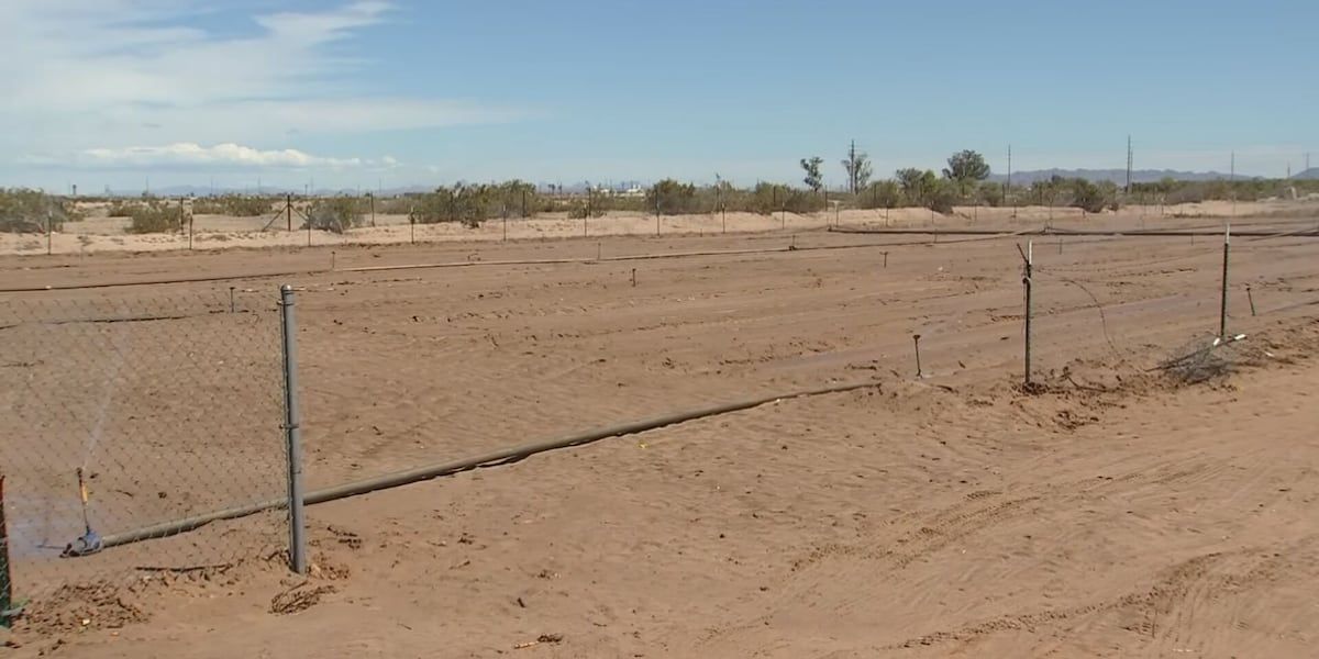 Robert Masson, @Uazcoopext Assistant Agent, is testing a liquid natural clay developed by @Desert_control in the desert Southwest. Learn all about it on #FeatureFriday: buff.ly/43BKK1U