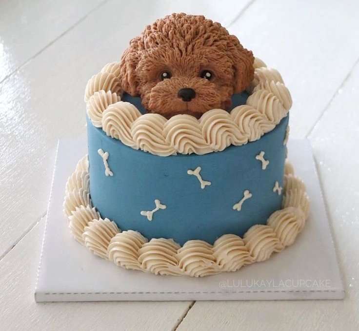 zuyeion's tweet photo. Happy birthday bestiee🥳 @mixngyou https://t.co/TAPDHKMApS