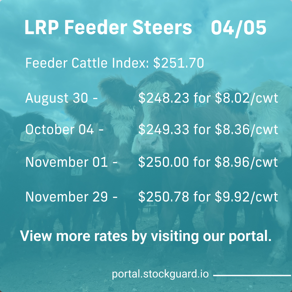 Stockguardinfo's tweet image. Friday, April 5th LRP Rates: Stay current on today&apos;s live and feeder cattle rates–don&apos;t fall behind on the market! View live rates: hubs.ly/Q02r_6Ml0

#LivestockRiskManagement #RiskManagementTools #LivestockSafety #FarmersProtection #LivestockInsurance