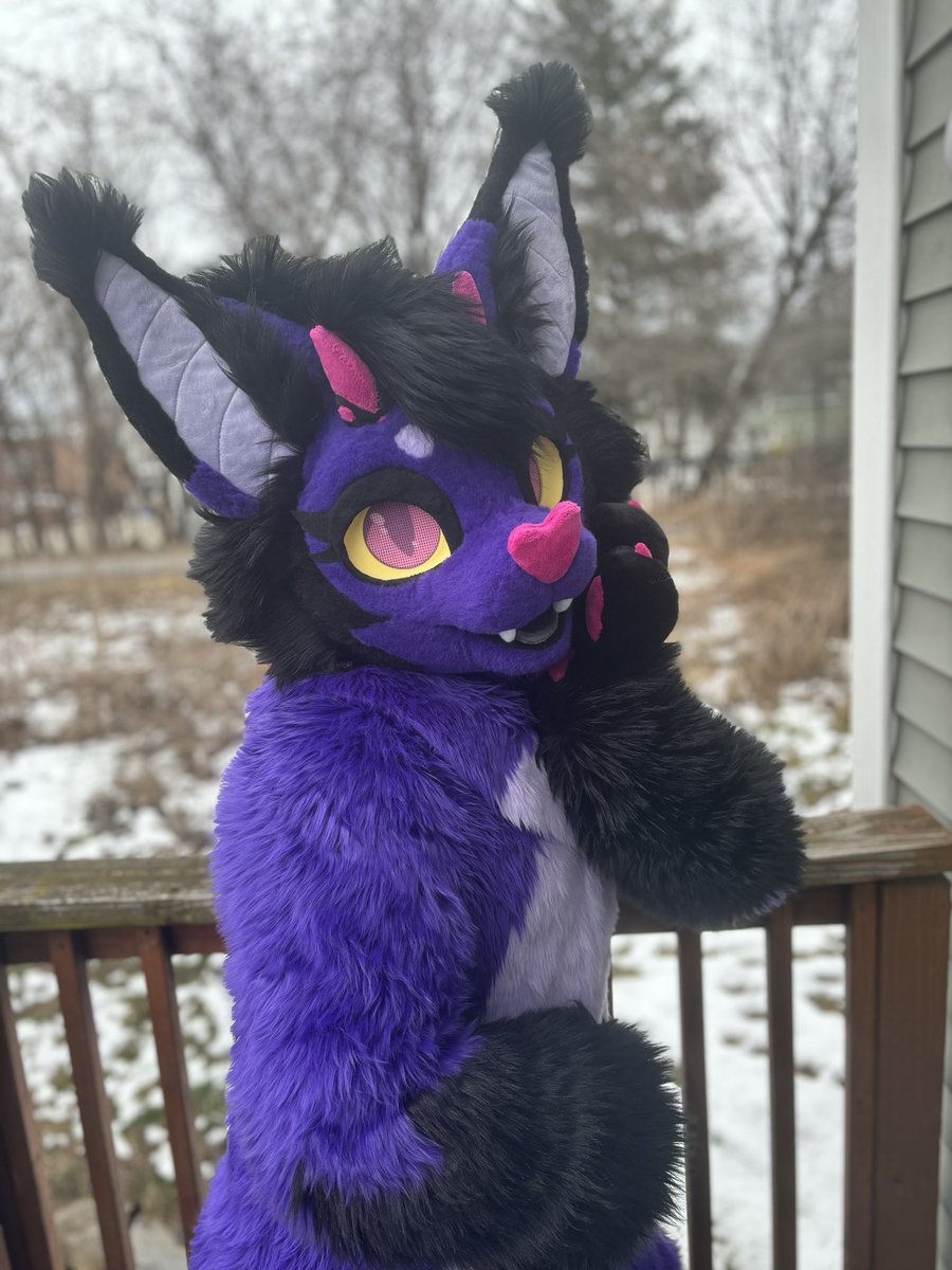 A lovely post-snow #FursuitsFriday ... so windy! >w< 🪡: @ScarletWingsFS