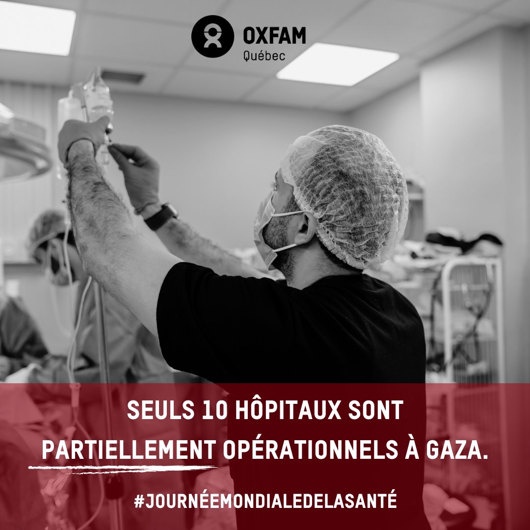 #JournéeMondialeDeLaSanté | Le système de santé de Gaza s'est effondré : plus de 75 000 victimes dépendent de seulement 10 hôpitaux à peine fonctionnels. Il y a une grave pénurie de lits, de fournitures médicales et d'électricité. Un #CessezLeFeu durable doit être mis en place !