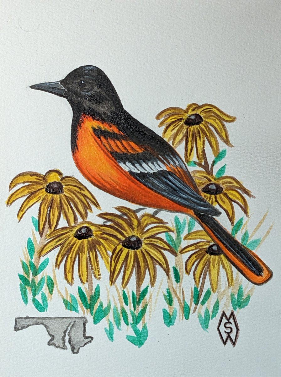 On this date, April 28th in 1788 Maryland was admitted to the union as the seventh state. This is my painting of the Maryland state bird and flower, which are the Baltimore oriole and black-eyed susan’s flower.  redbubble.com/shop/ap/140728…
#mattstarrfineart #baltimoreoriole #bird